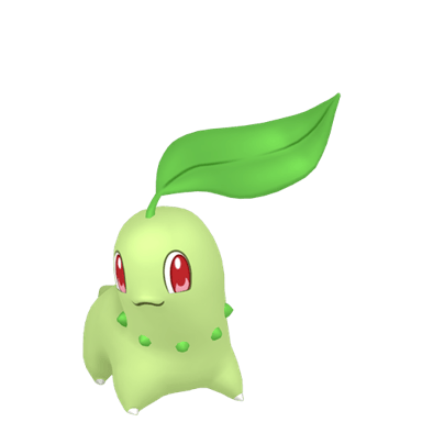 Chikorita