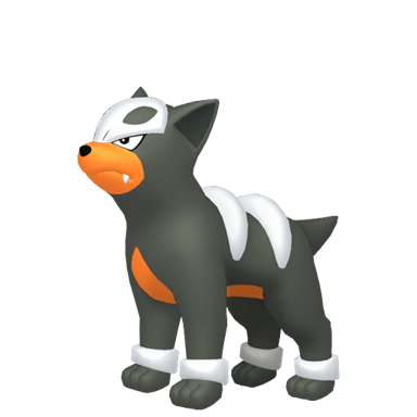 Houndour