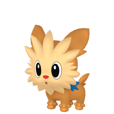 Lillipup