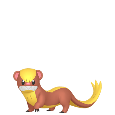Yungoos