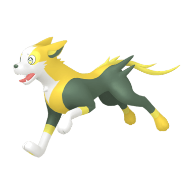Boltund