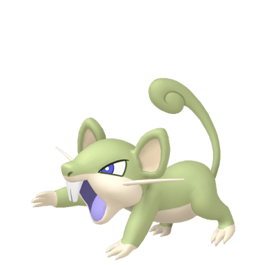 Rattata (Shiny)