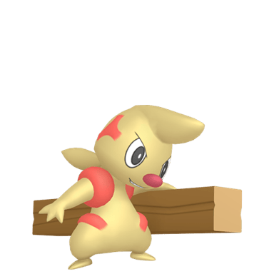 Timburr (Shiny)