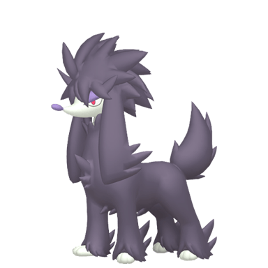 Furfrou (Shiny)
