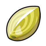 Miracle Seed