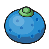 Oran Berry