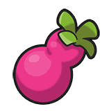 Payapa Berry