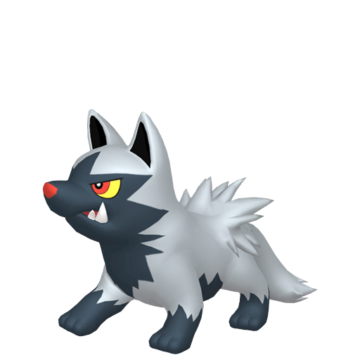 Poochyena Product Image