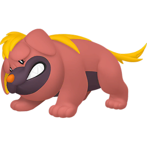 Maschiff Product Image