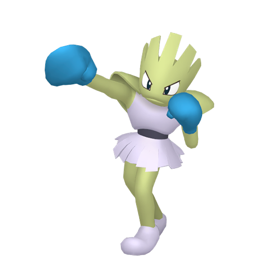 Hitmonchan (Shiny) Product Image