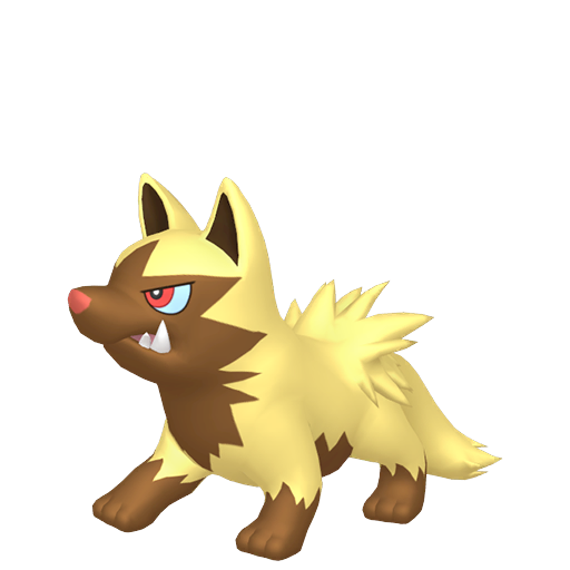 Poochyena (Shiny) Product Image