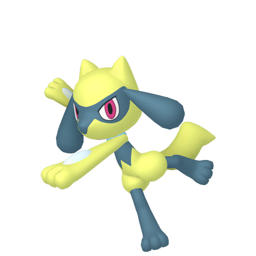 Riolu (Shiny) Product Image