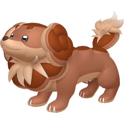 Dachsbun (Shiny) Product Image