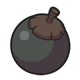 Black Apricorn Product Image