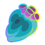 Hyper Persim Berry Product Image