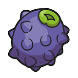 Wiki Berry Product Image